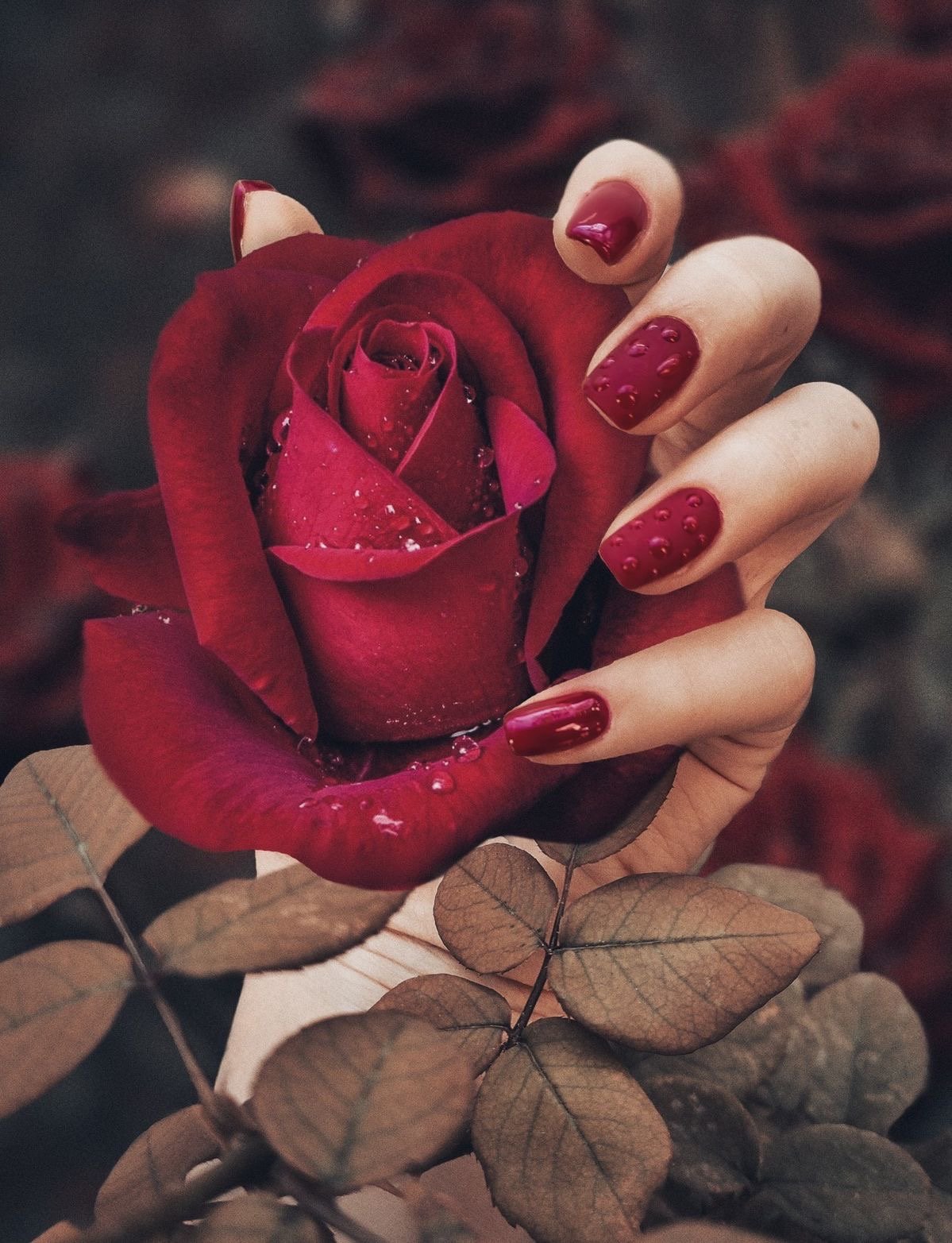 زينب القحطاني