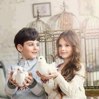 احمد عبدالله السويه