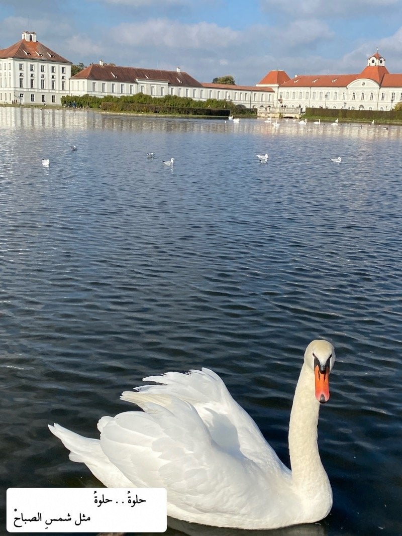 فاطمه الخليفه