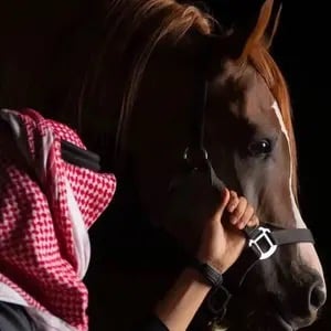 سلطان بن منصور