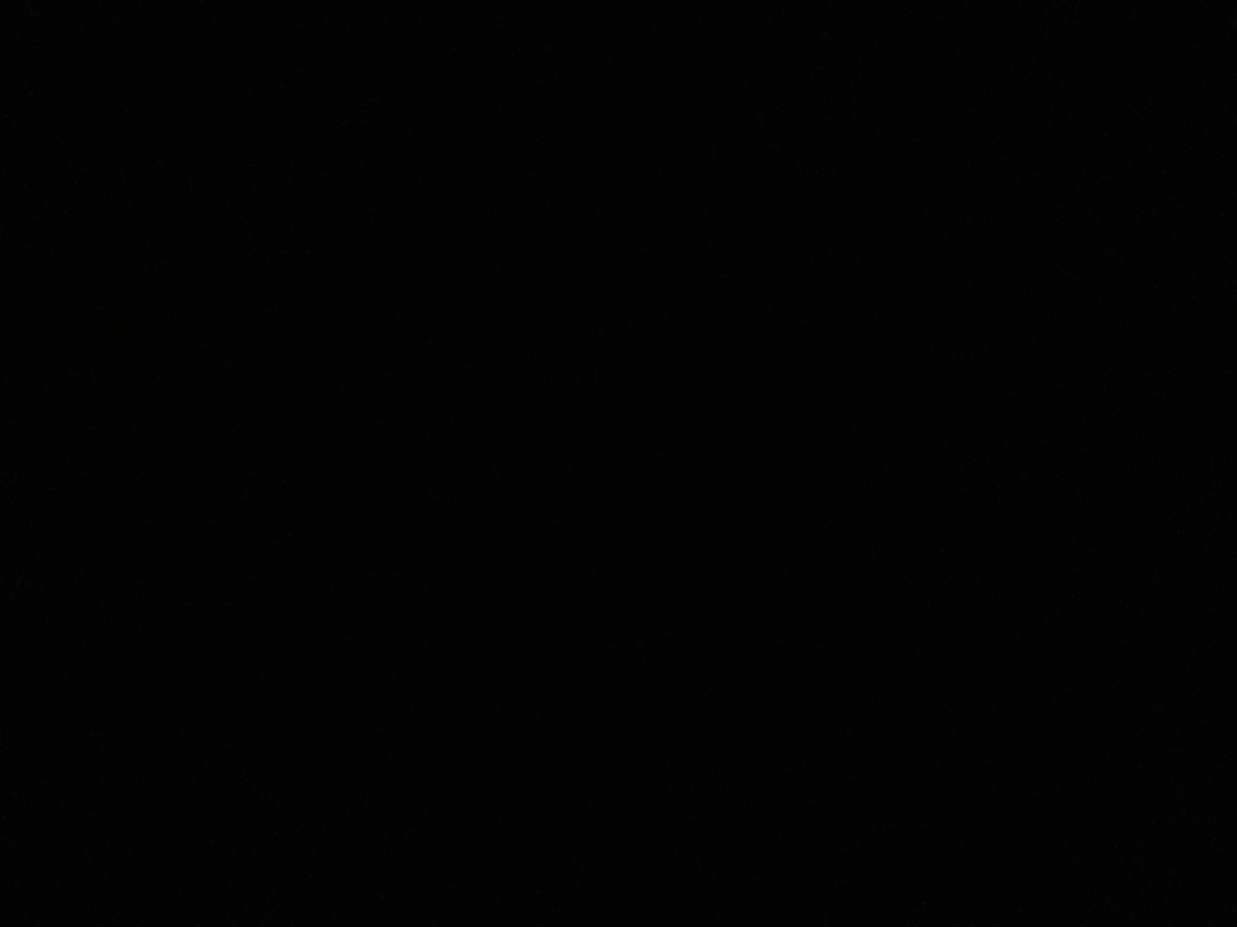 راكان الغامدي