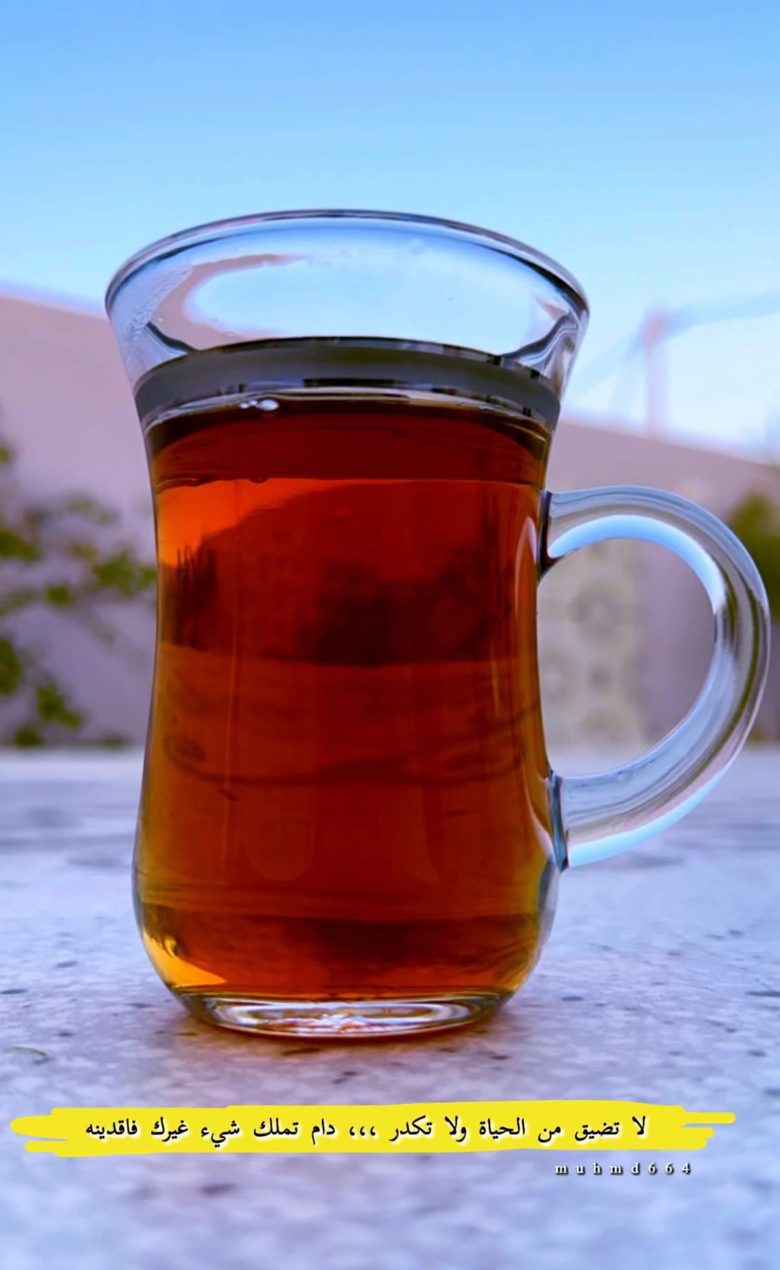 تركي الجهني