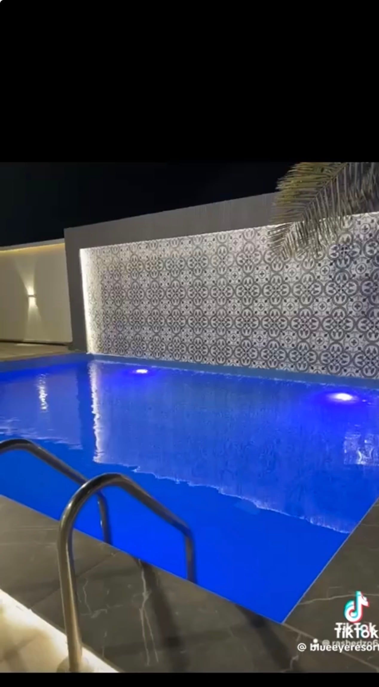 انفزل الخضير