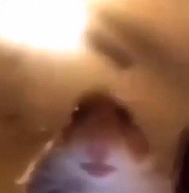 عبدالعزيز الفريدي