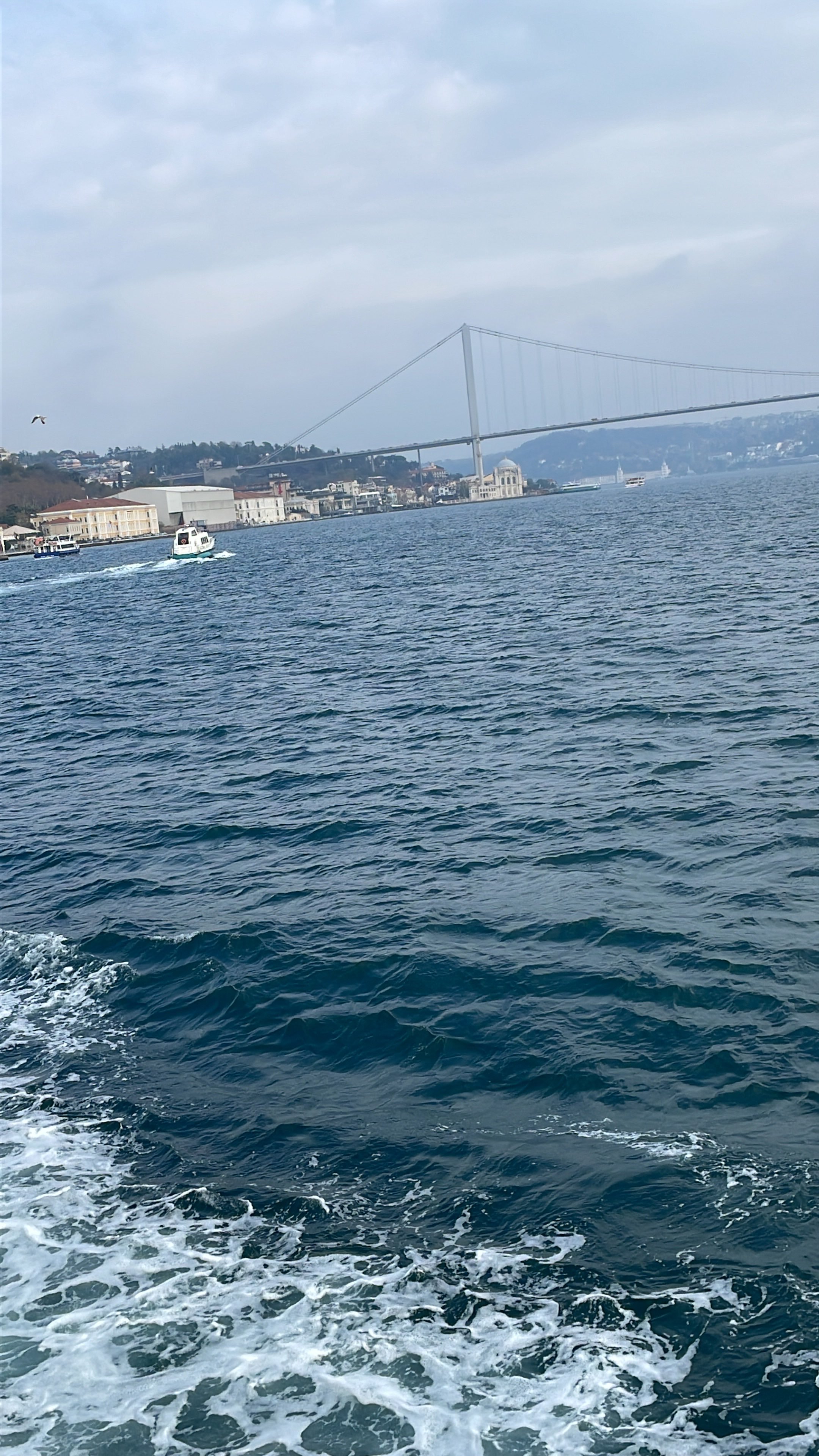 يوسف الرشيدي