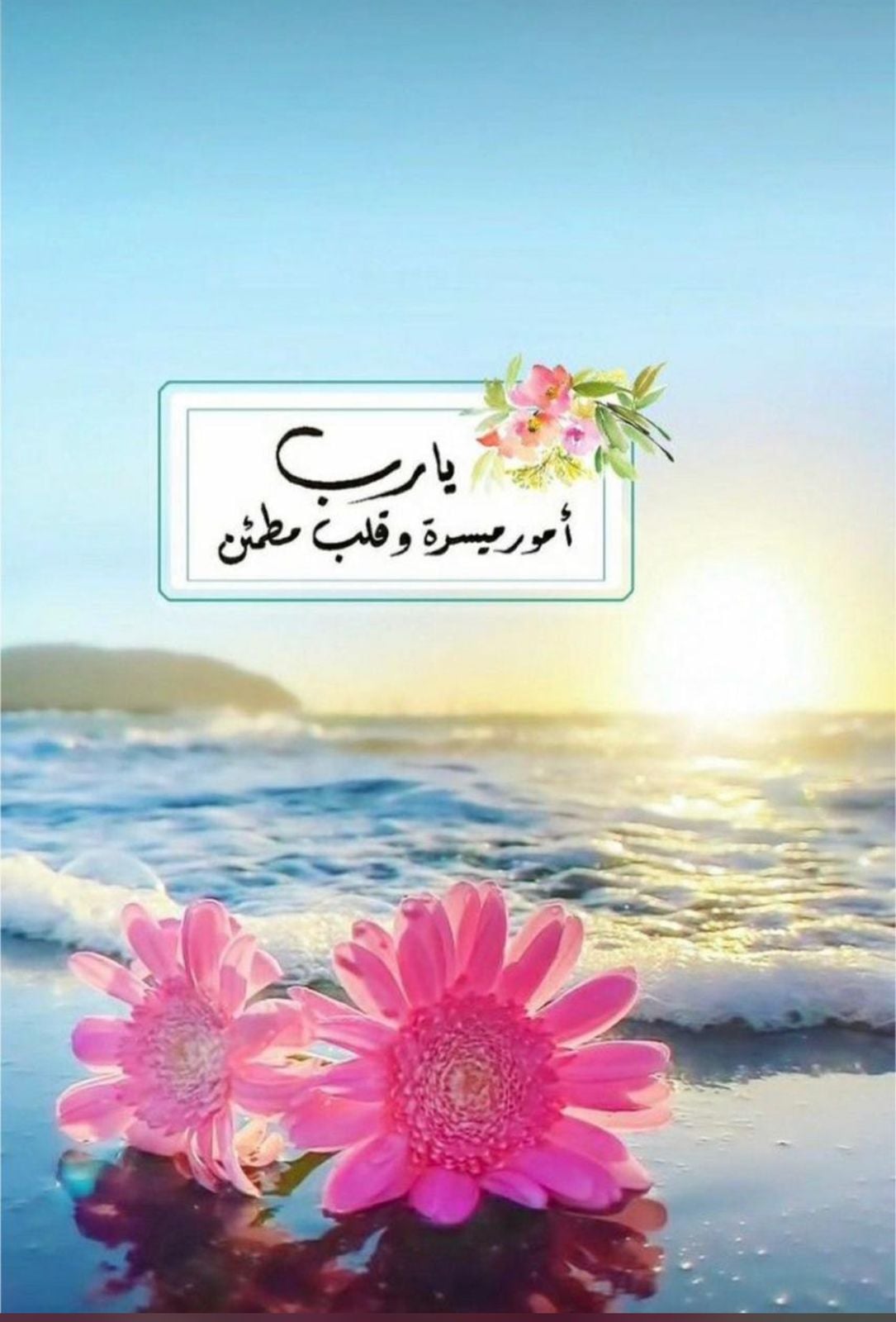 ام عبدالله 