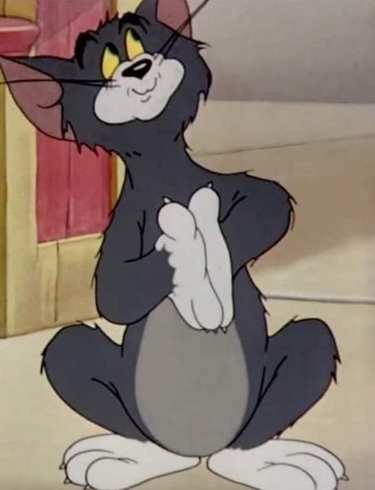 ريان الشربجي