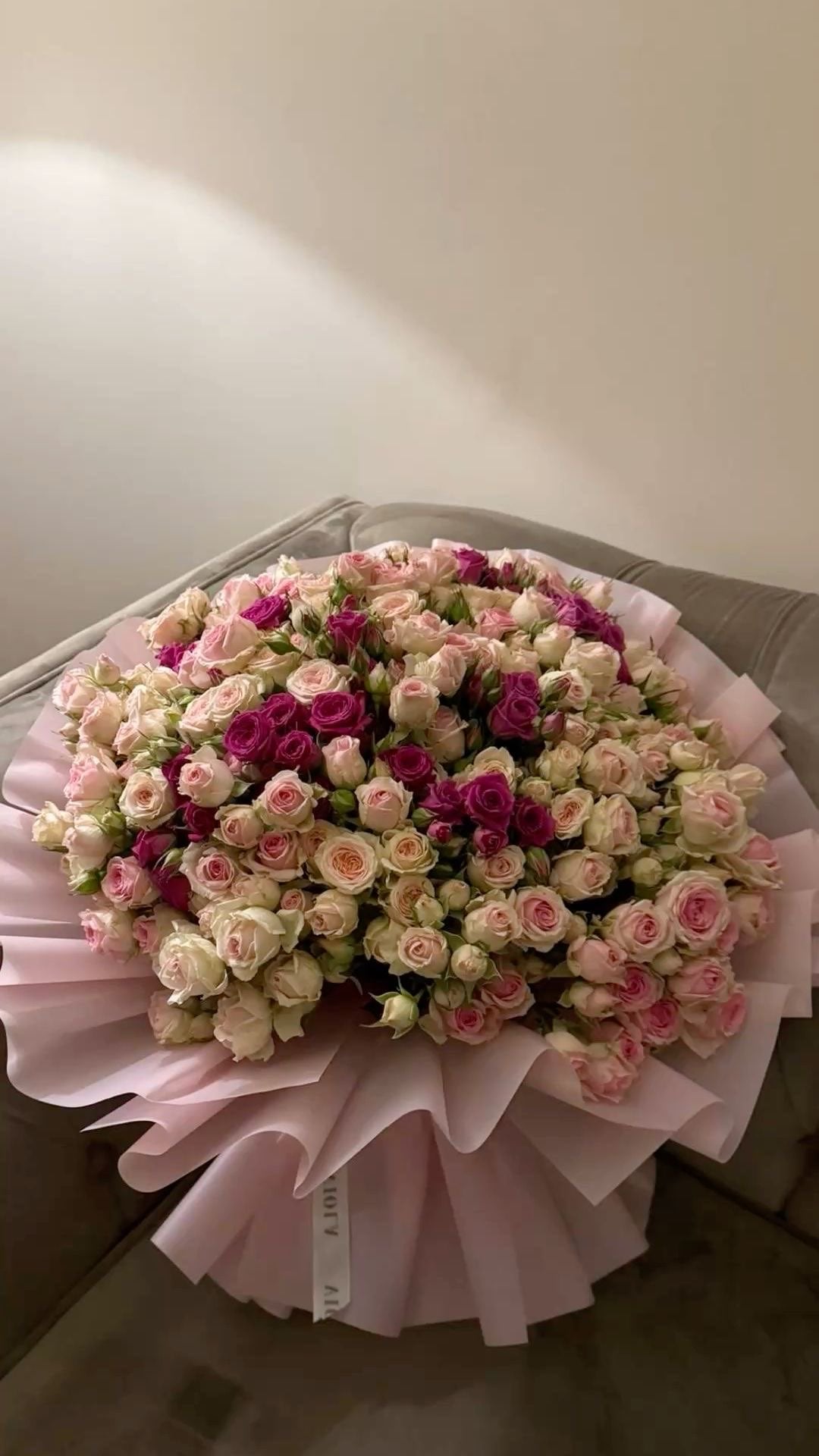 Shahd salih