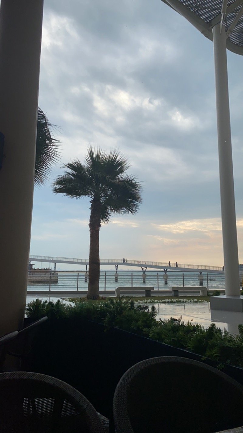 اسيل الغامدي