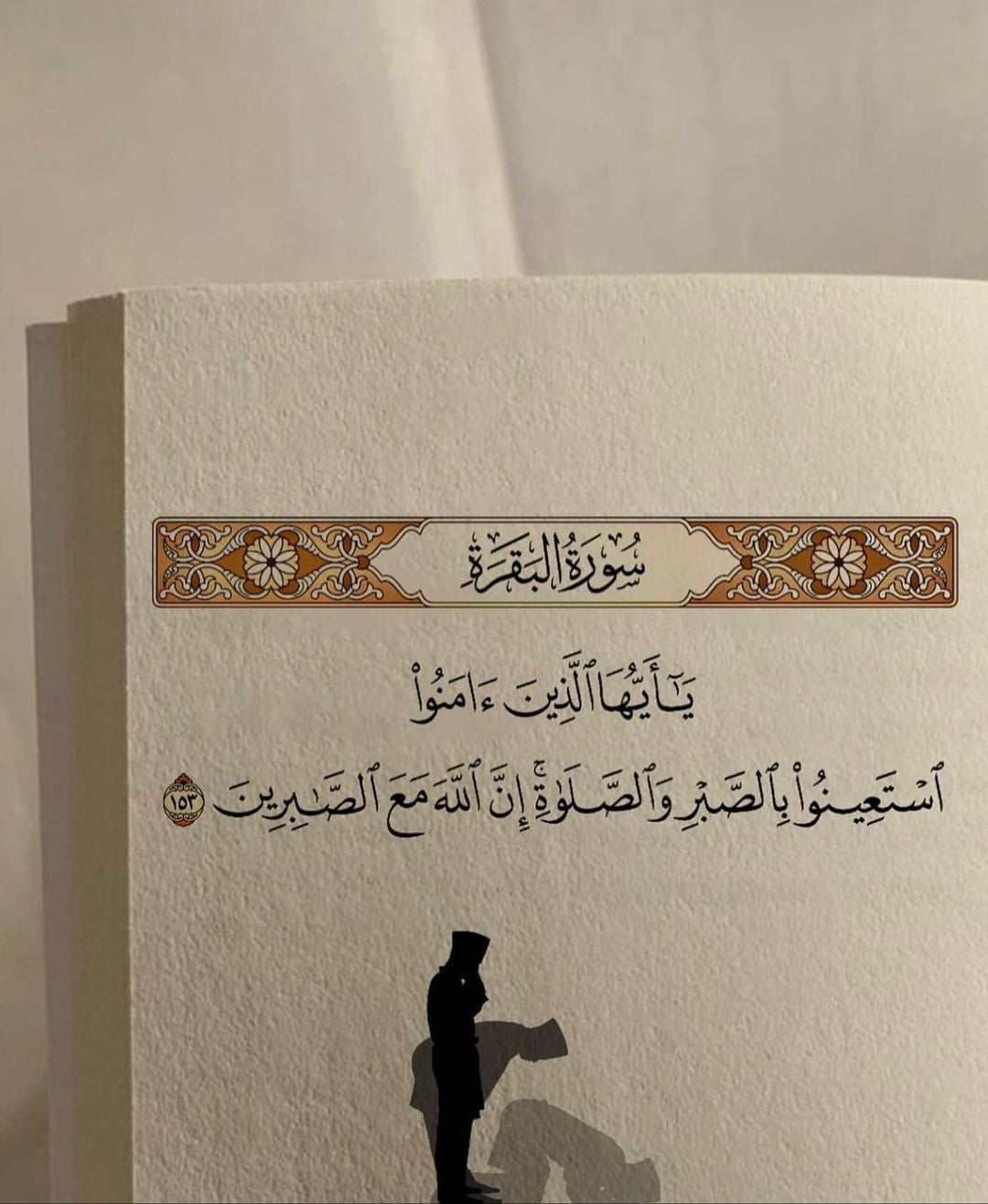 رازان احمد المزمومي W