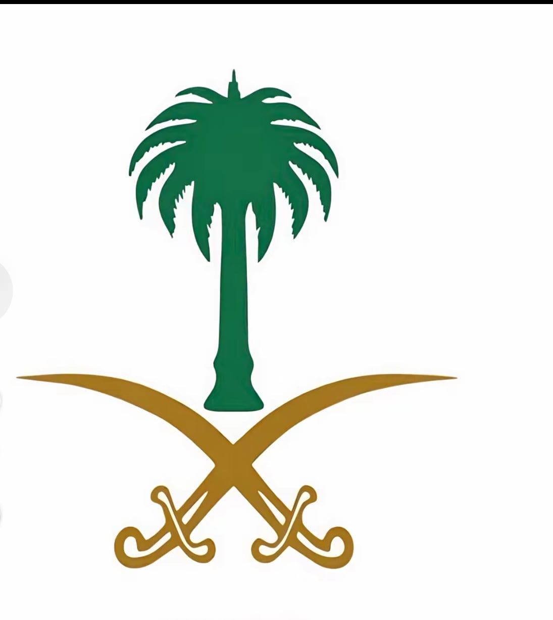 سيف المالكي