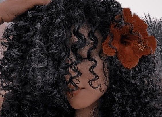 مستورة الحارثي