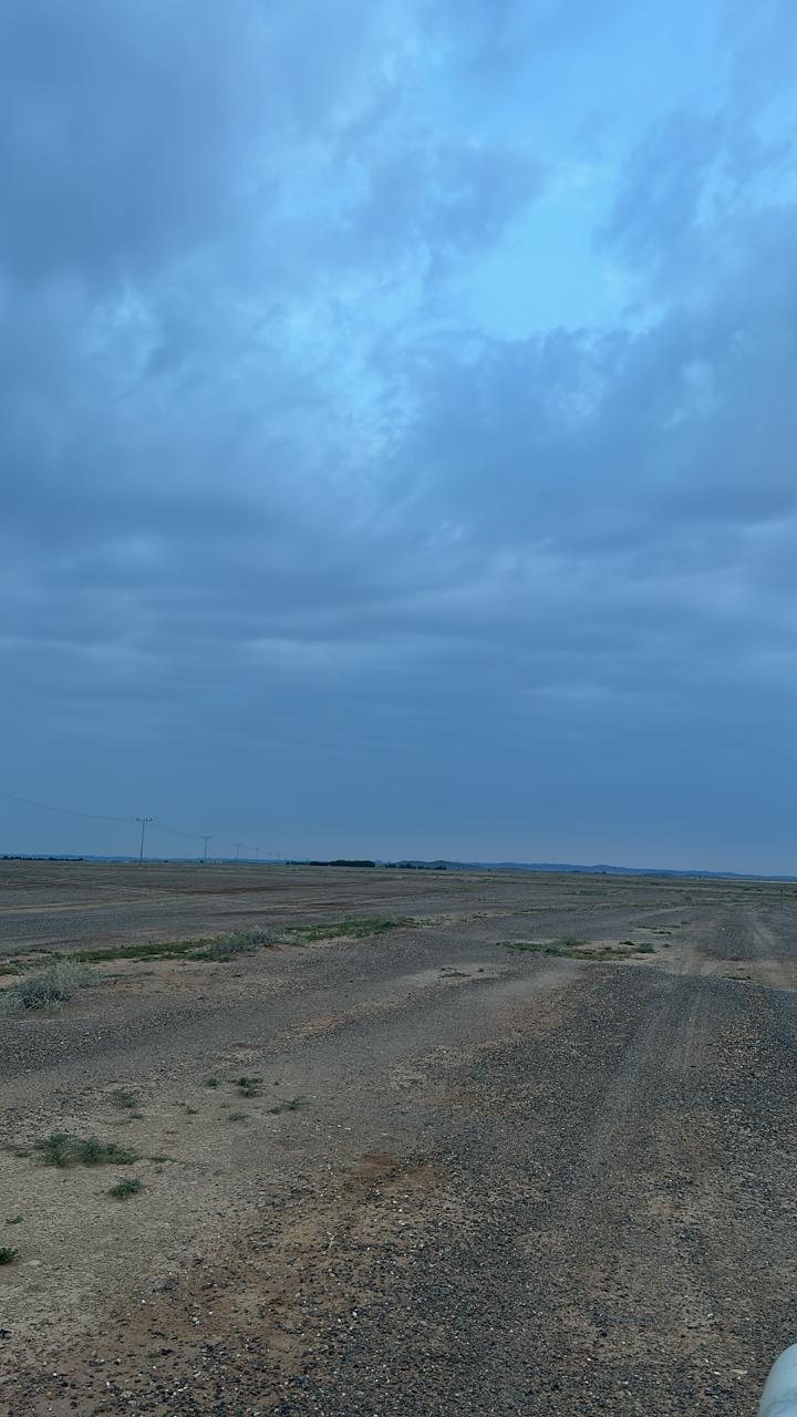فلسطينيه و افتخر اسمي ندى التميمي