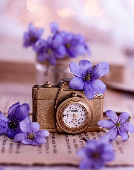 احمد الحوصلي