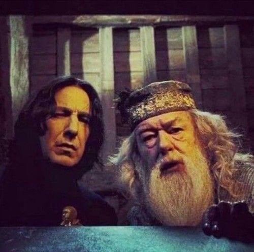 بتول الرويلي