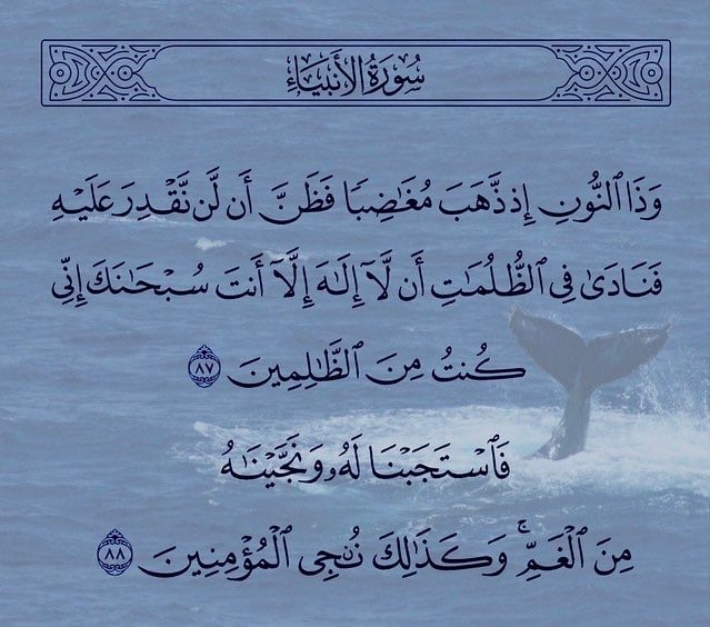 محمد العتيبي