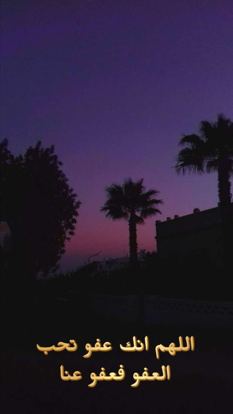 SOLEDAD JEDDAH