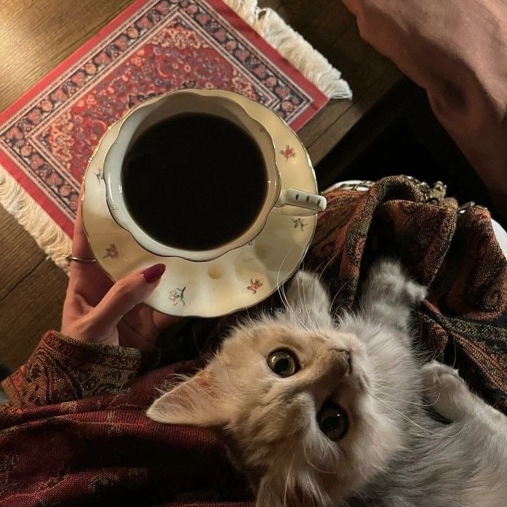 ميلاف عواجي