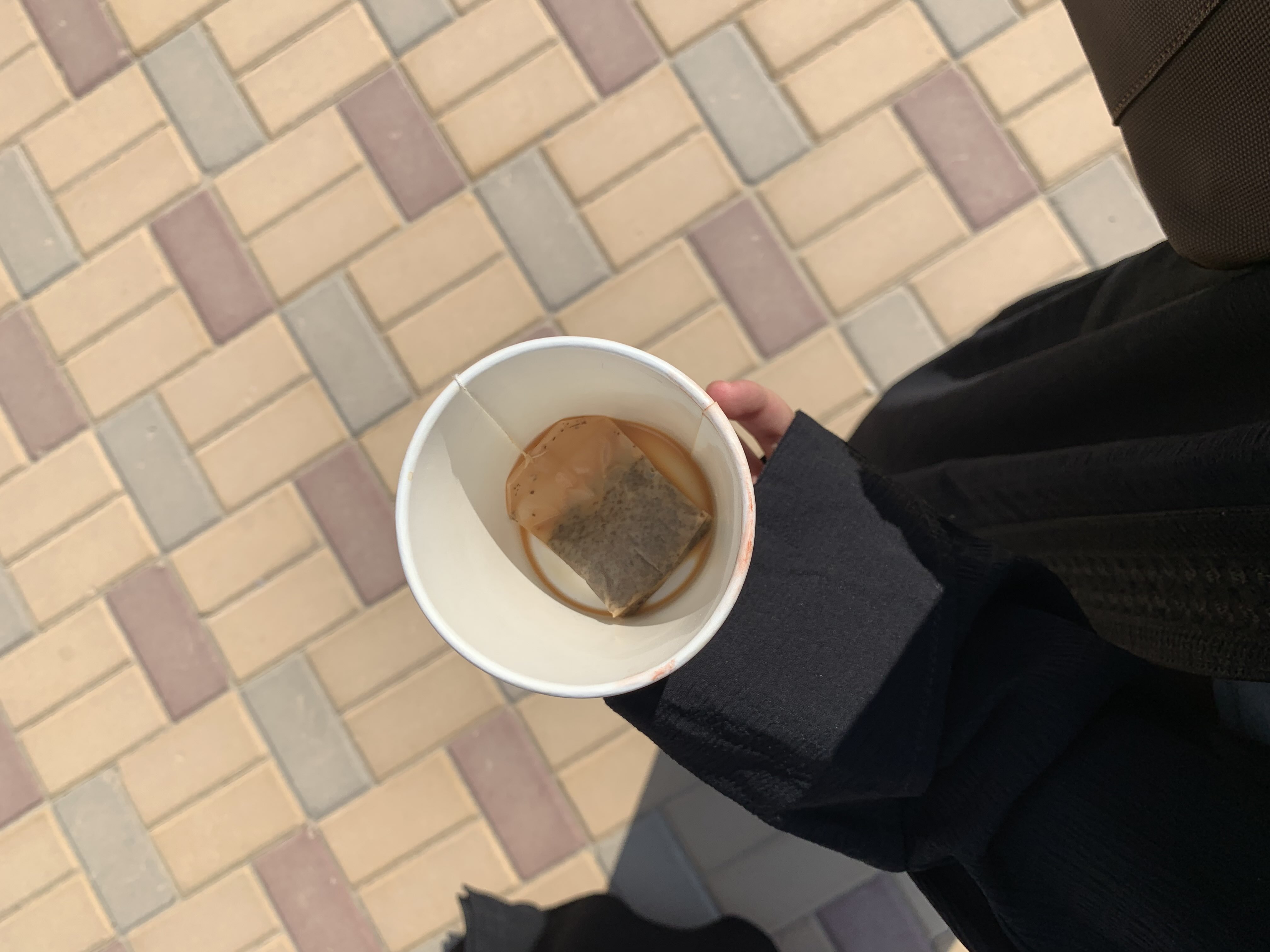 دانه القاسم