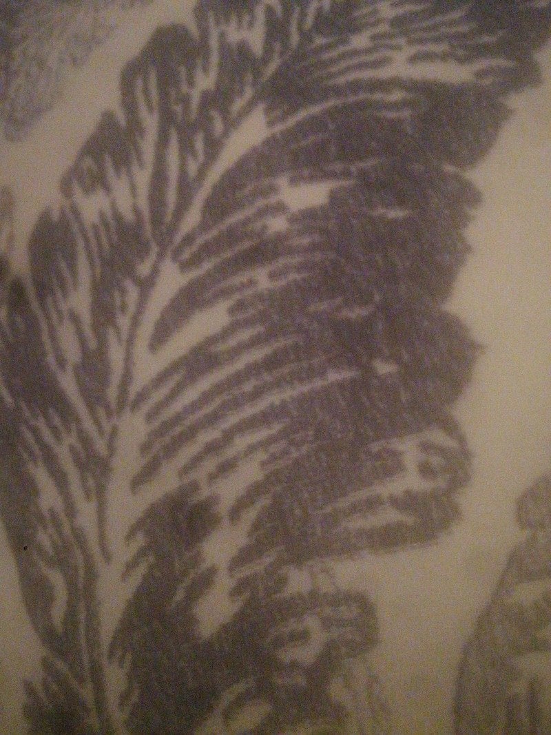 فاطمه عوامي