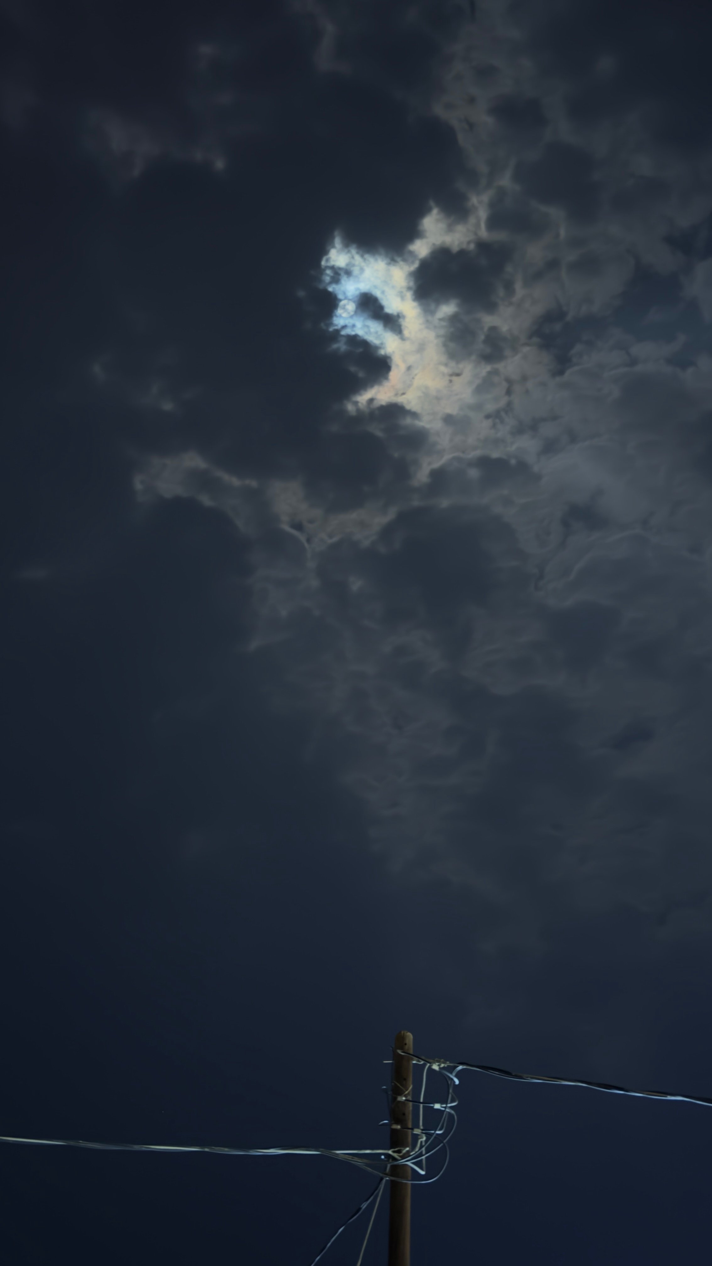 عطيه الناشري