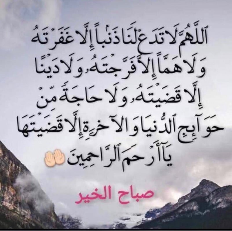 فائز المطيري .