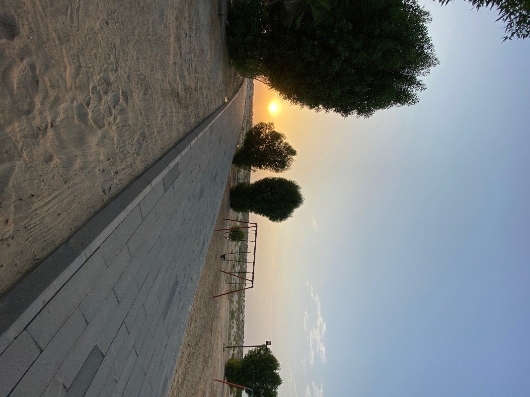 نرجس محمود الصالح