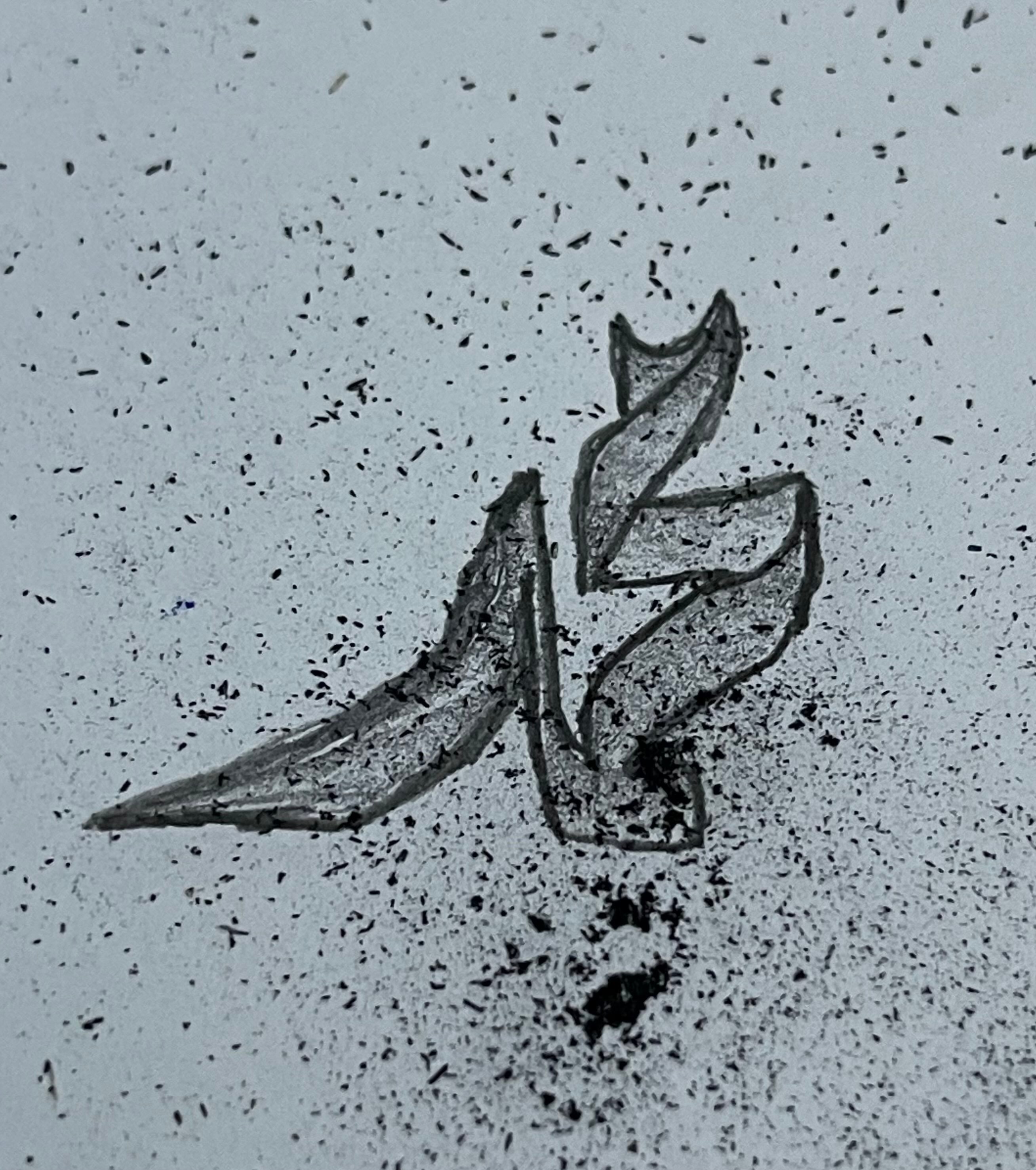 محمد القرني