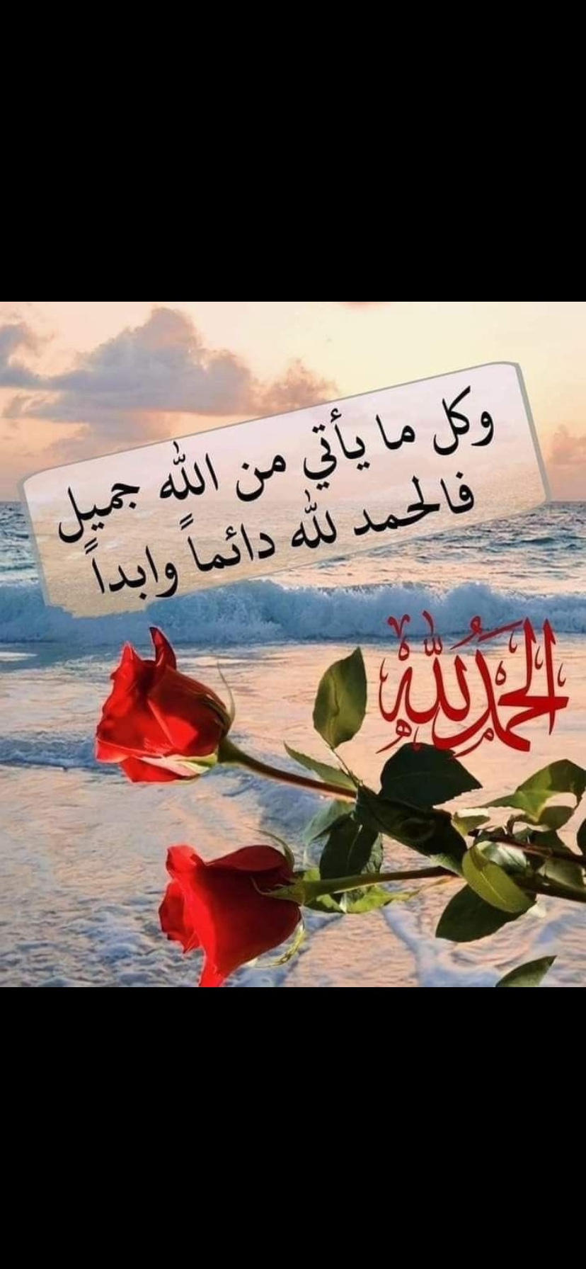 ليلي الحربي