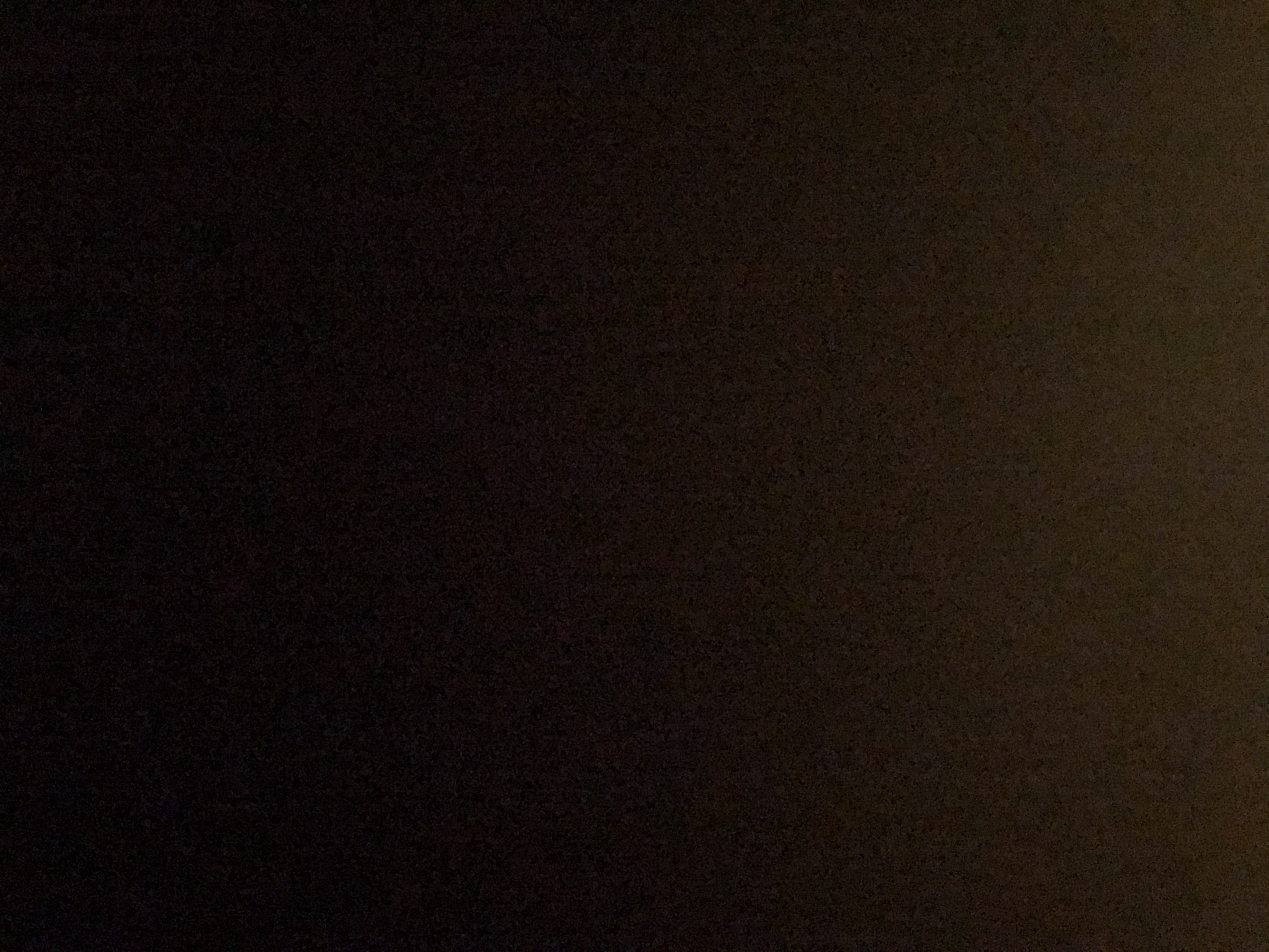 شهد الفهيقي