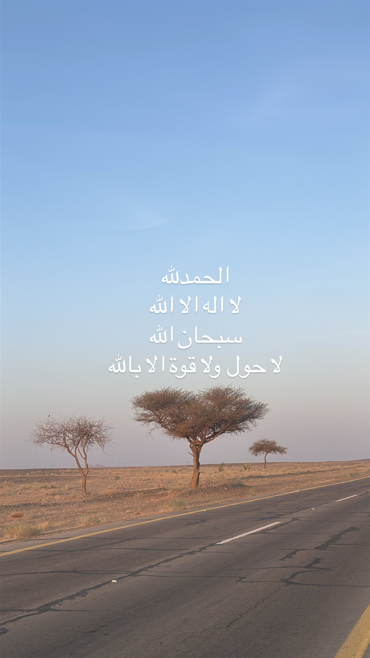 محمد العتيبي