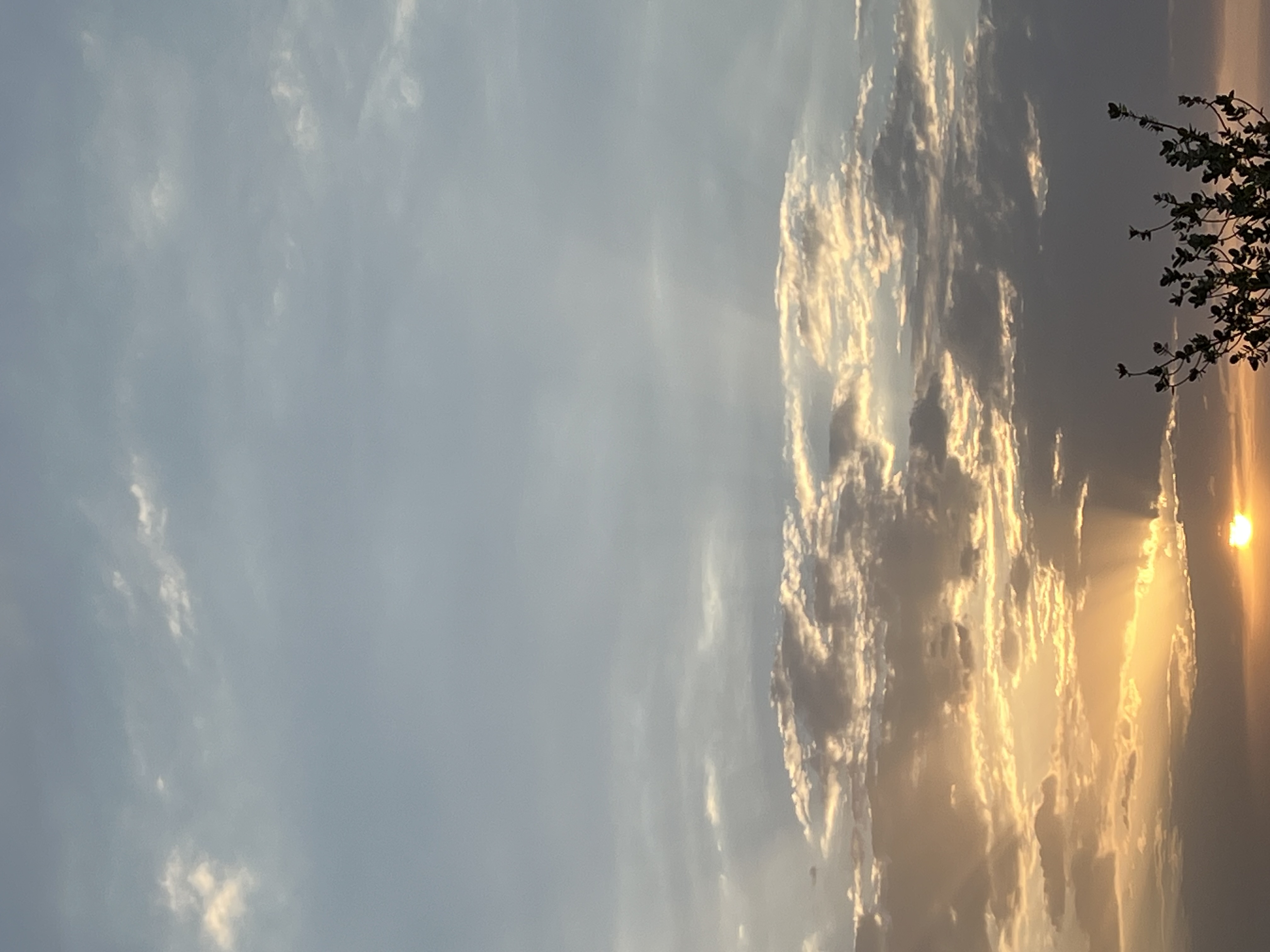 عهد الشهراني