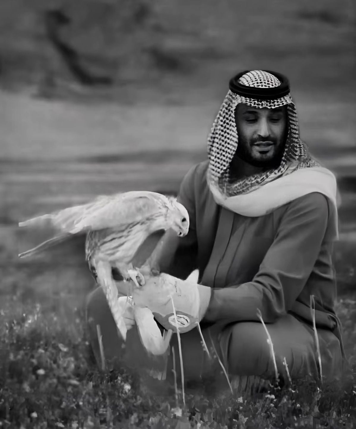 سويلم السبيعي