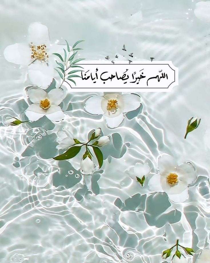 نوره علي