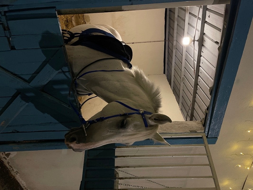 فيّ العتيبي