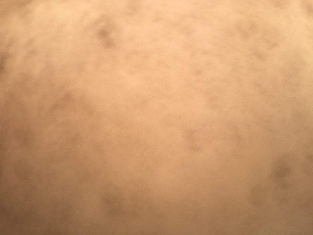 تركي الحربي