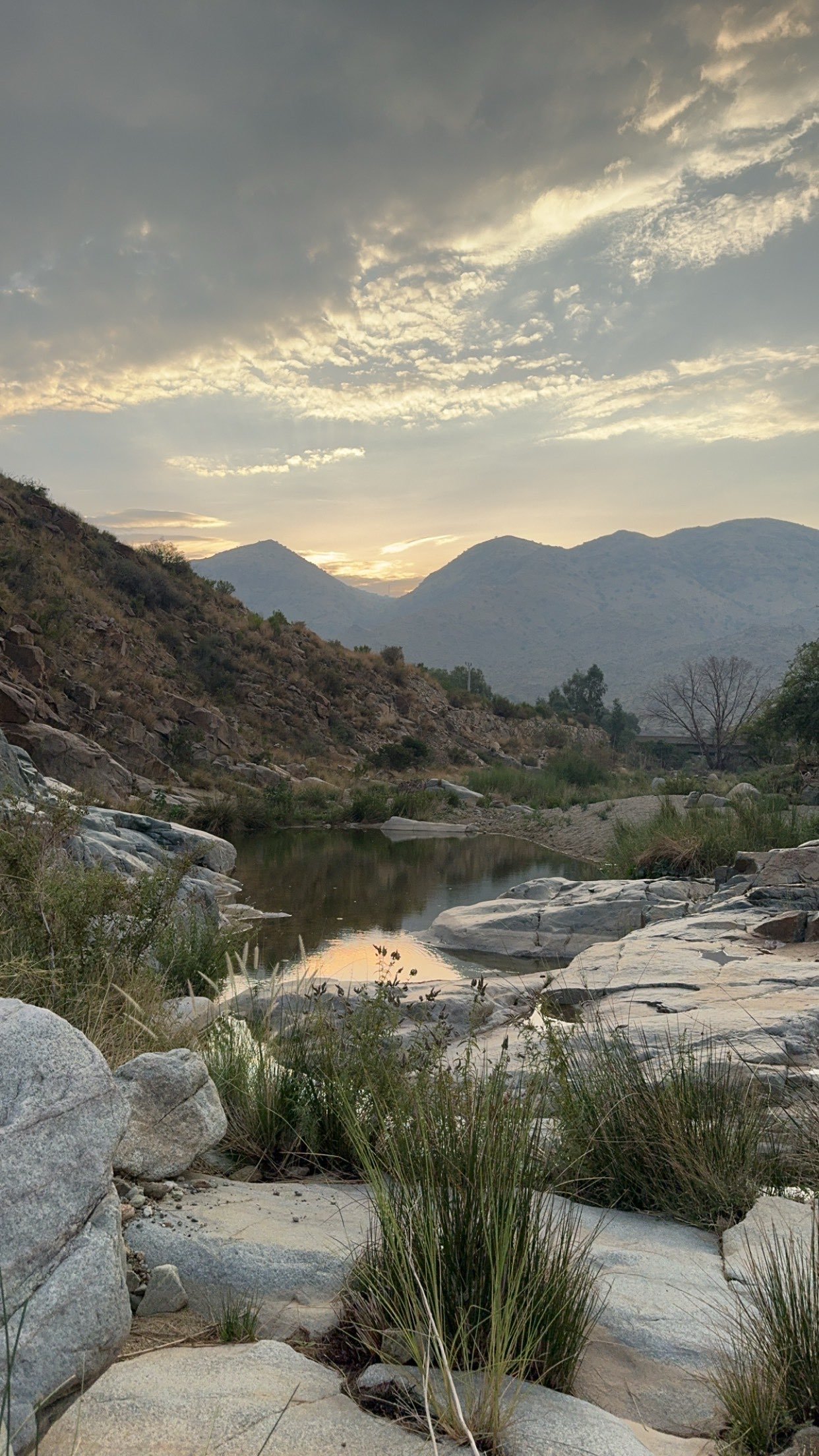 الجازي الدوسري