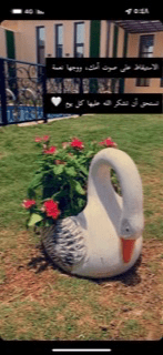 اعتبار العنزي