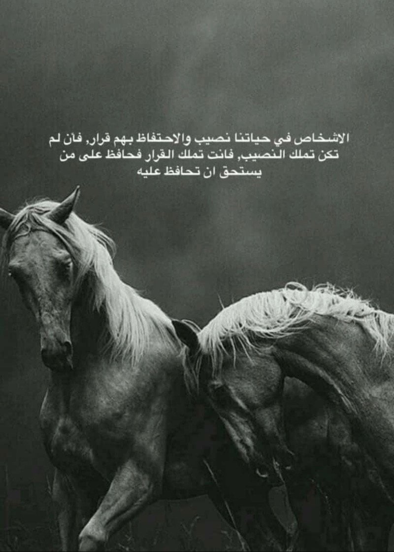 لطيفه الخضير