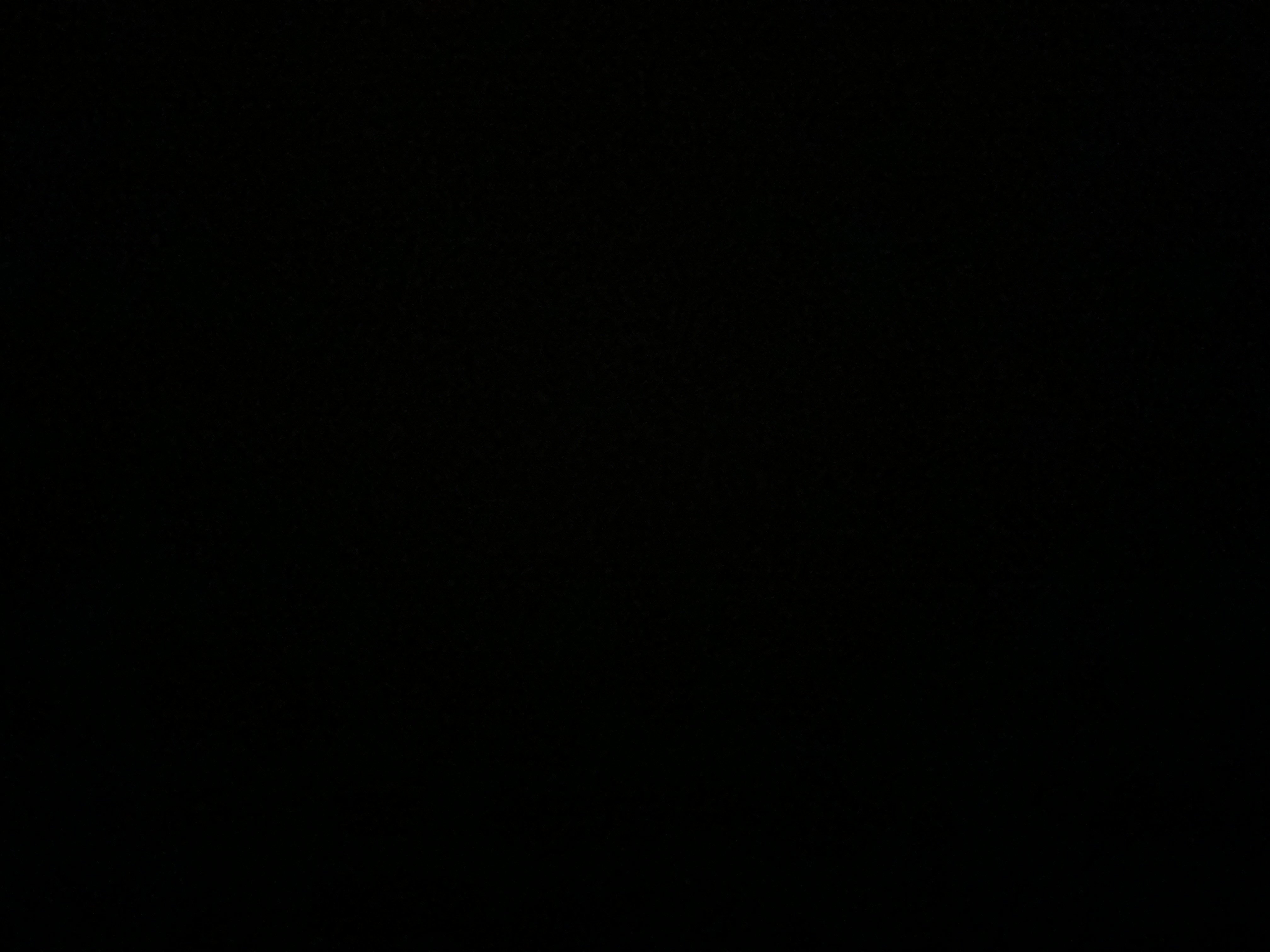 ام وسن الحارثي