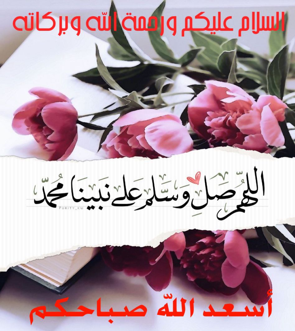 احمد الغزواني