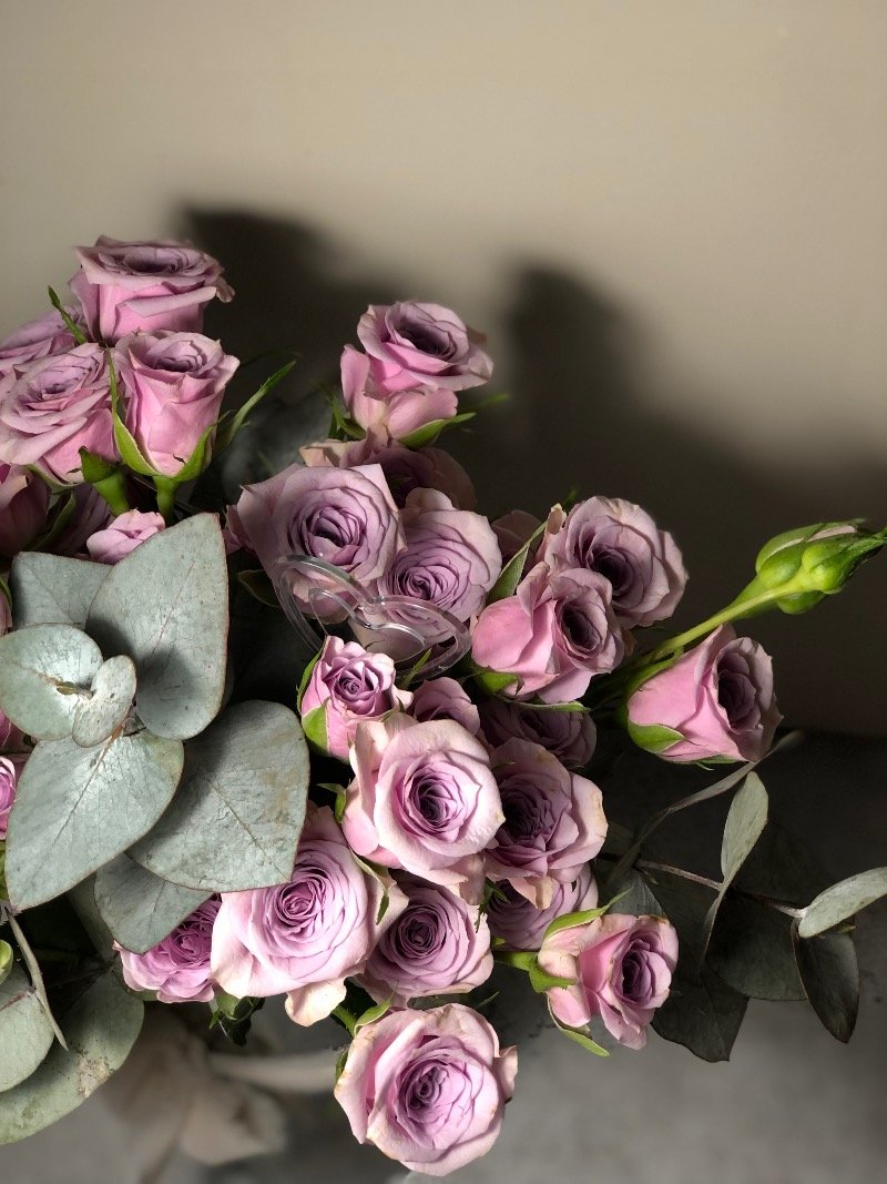 بيان الحربي