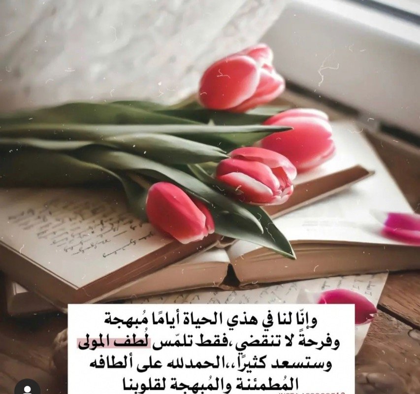 وزيره العنزي