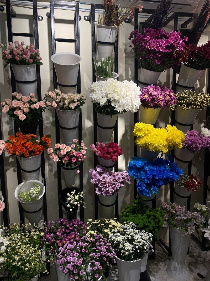 بشرى الـسـهـلـي