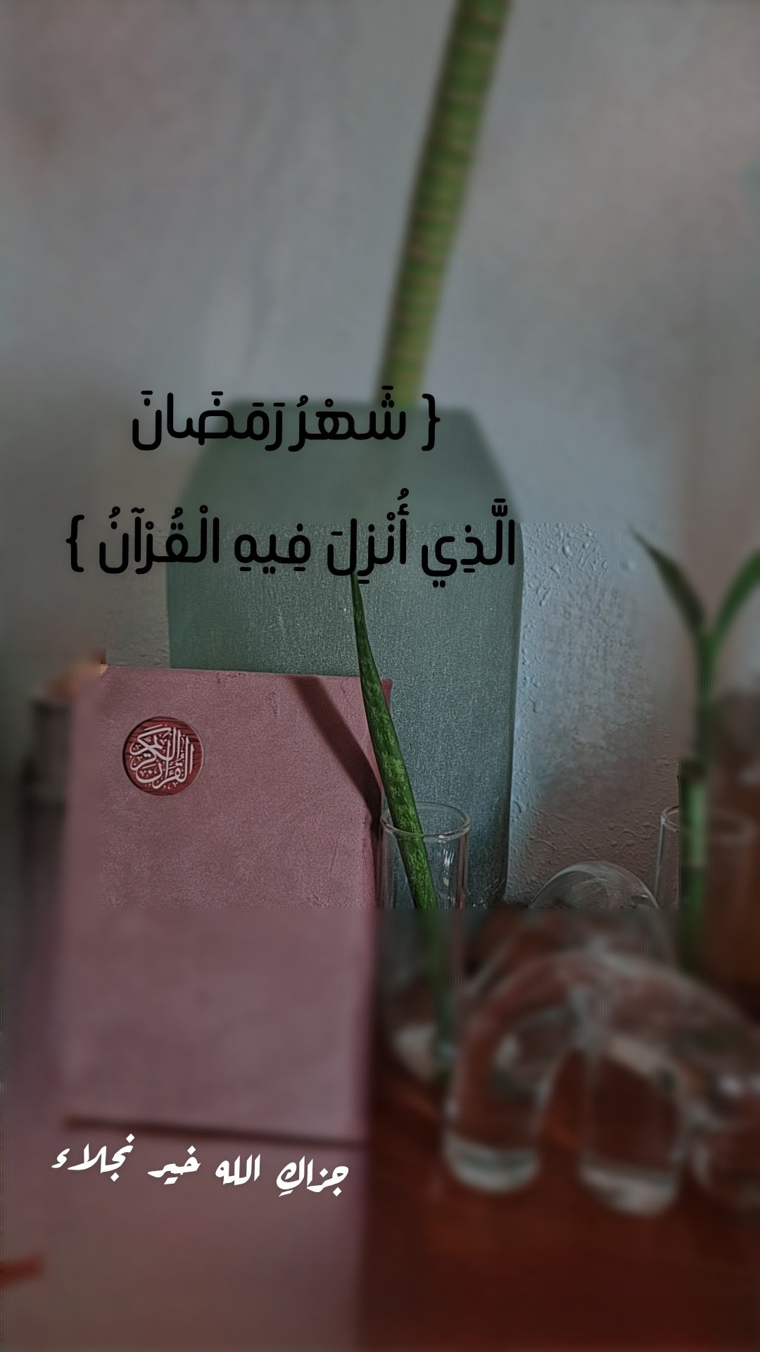 سمر حسين ابحر الشمالية   - 