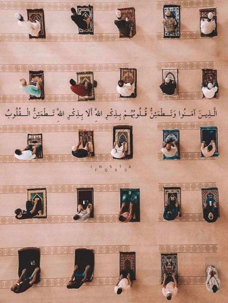 فدوى الشاطري