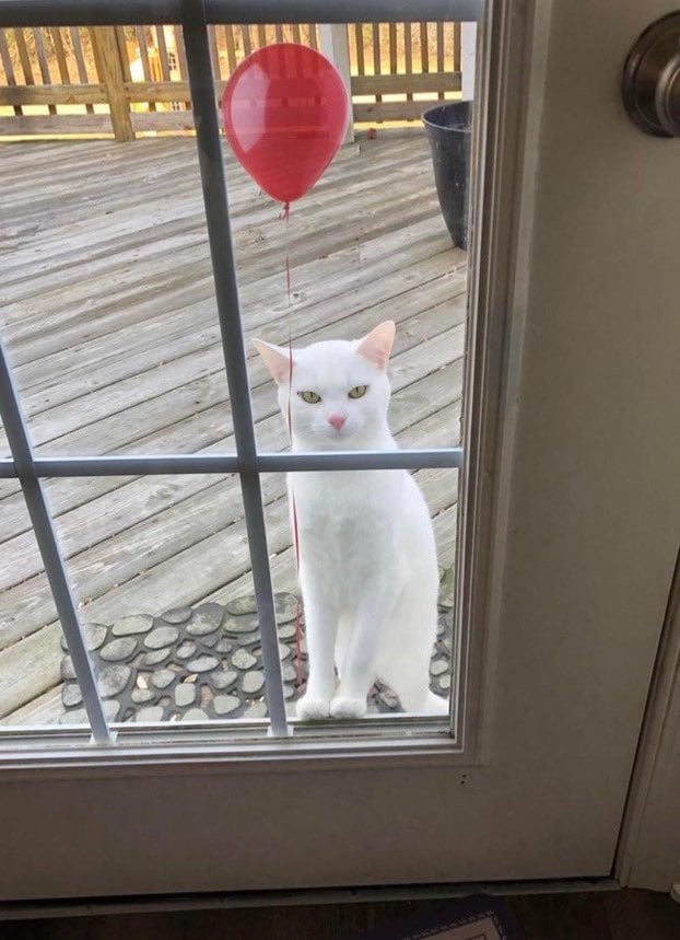 نجوى العيسي