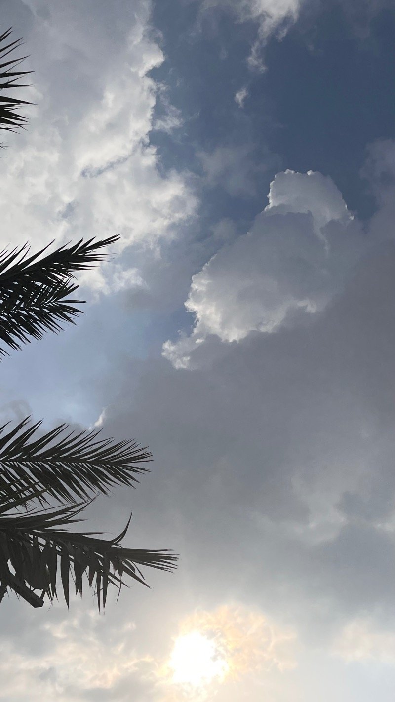 شهد المرحبي