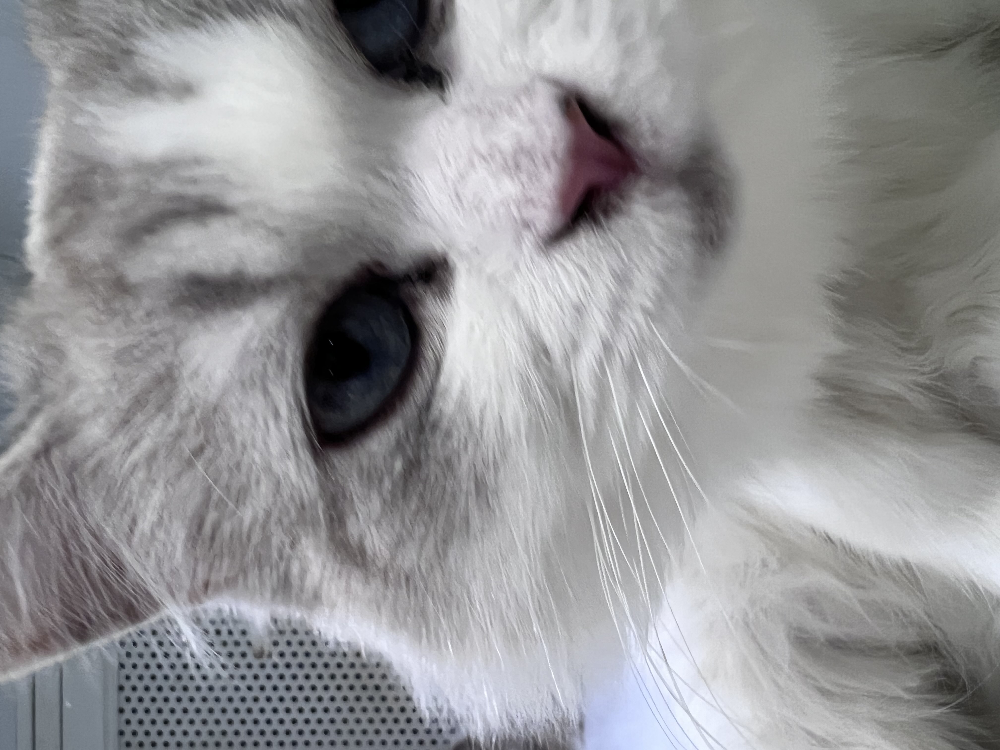 جنى صالح الغامدي .