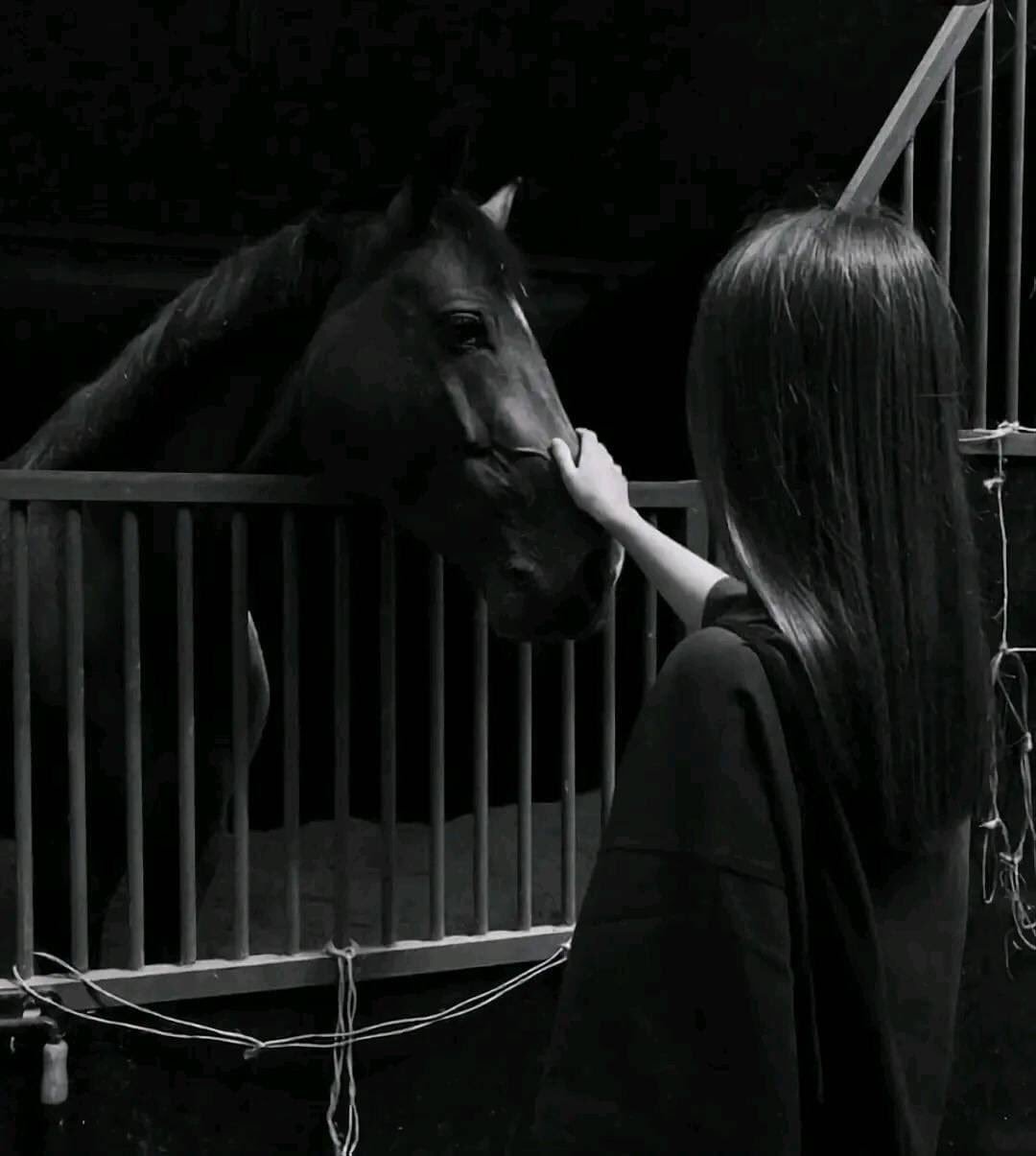 احمد الشمري